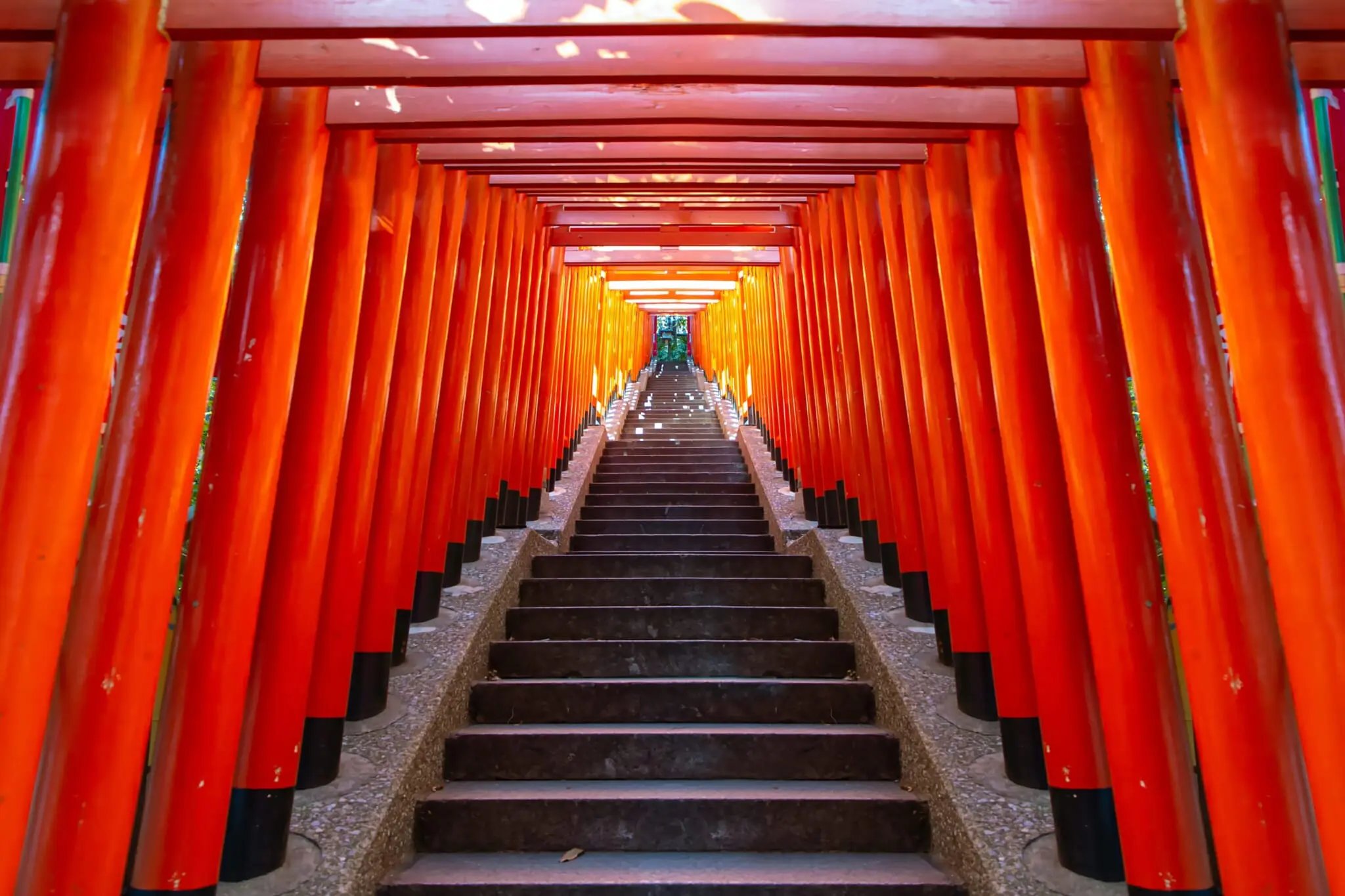 🐍 뱀굴 신사(헤비쿠보 진자) 이미지 8